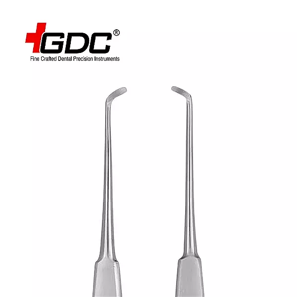 GDC Root Elevator (Warwick James)